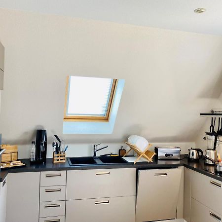 L'Envolee Alsacienne - Magnifique Appartement En Duplex 오스트하임 외부 사진