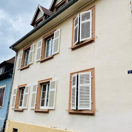 L'Envolee Alsacienne - Magnifique Appartement En Duplex 오스트하임 외부 사진