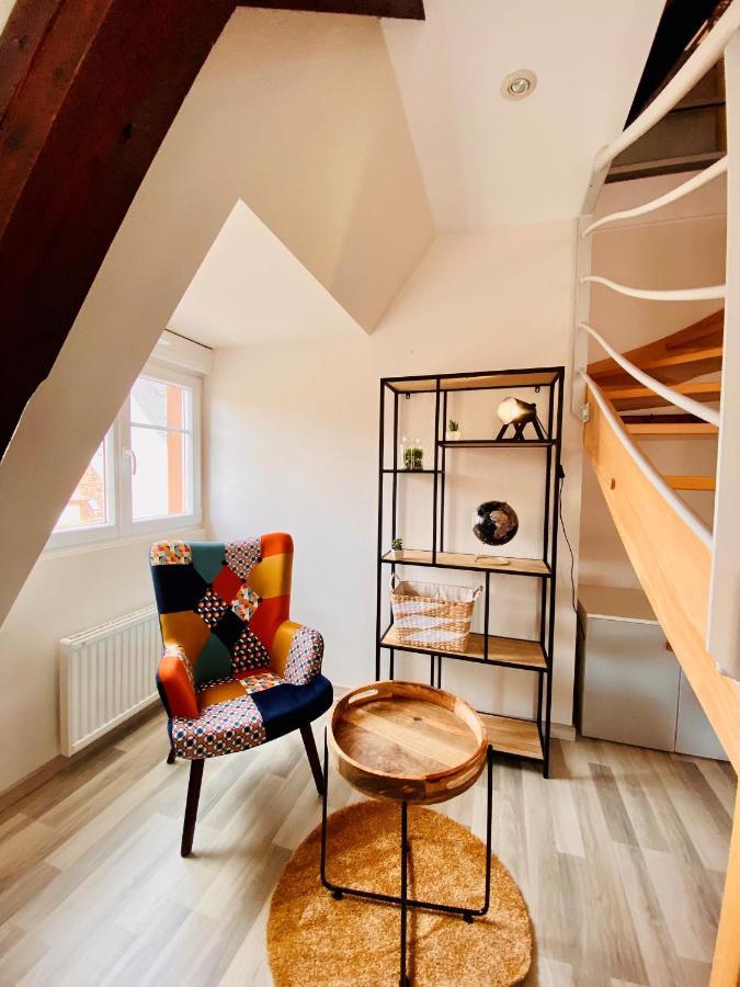 L'Envolee Alsacienne - Magnifique Appartement En Duplex 오스트하임 외부 사진